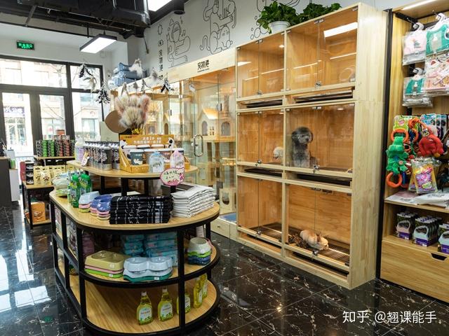 宠物店宠物品种-宠物店都有哪些品种的狗狗