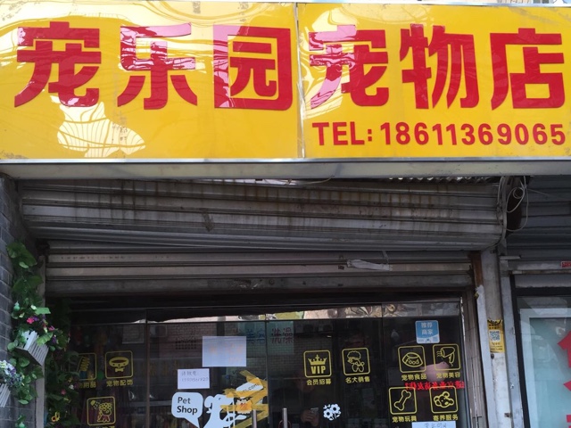 另类宠物店-另类宠物店起名