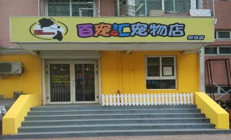 宠物店的宠物店-宠物店的宠物店在哪里