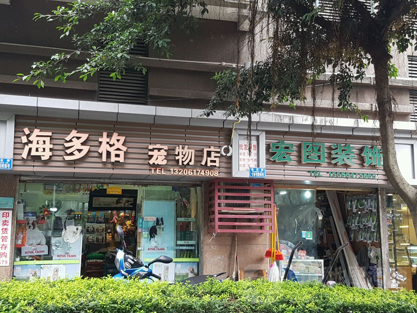 宠物店的地址在哪里-全国的宠物店电话大全