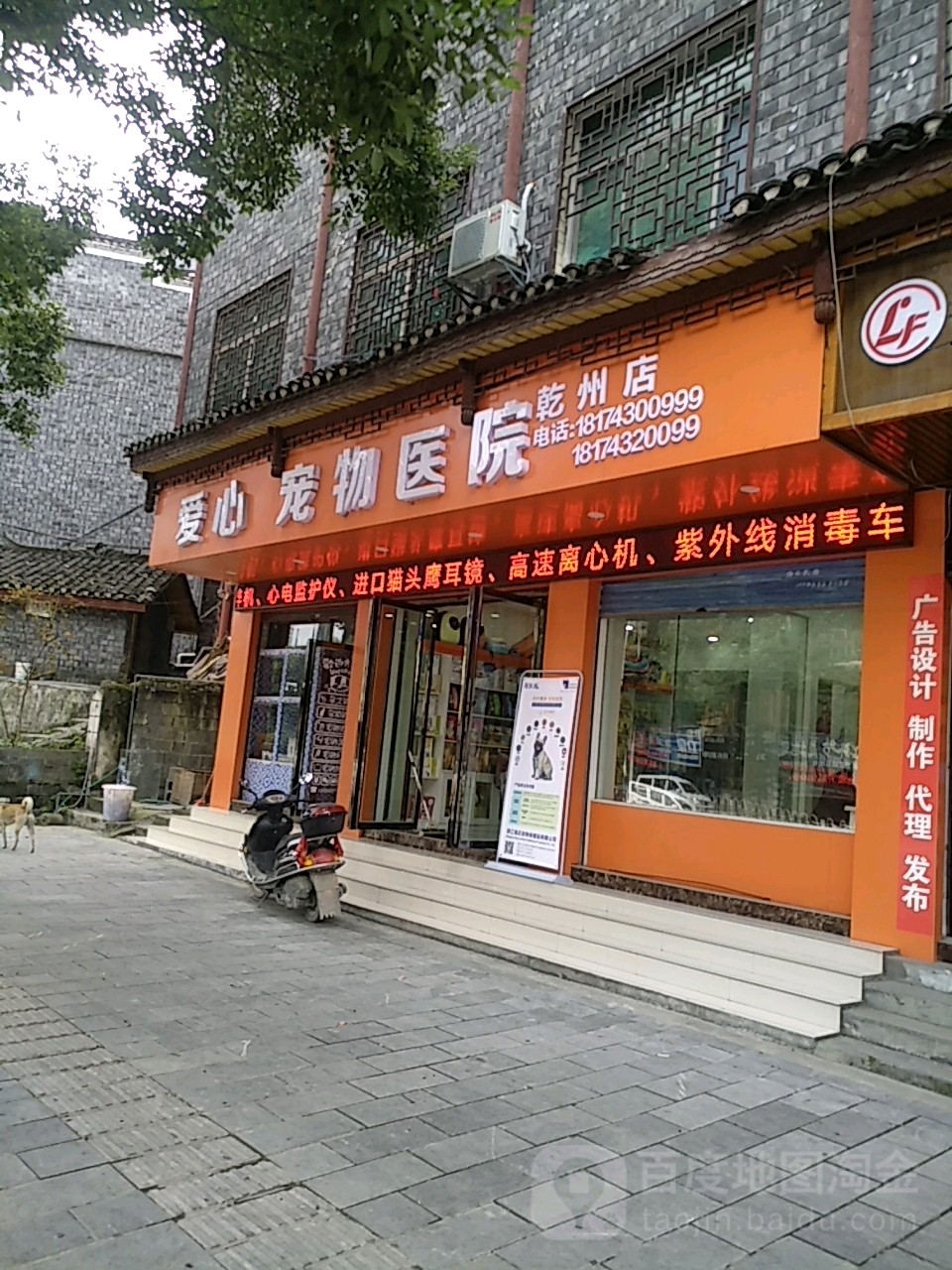 附近宠物店-附近宠物店狗狗洗澡怎么找