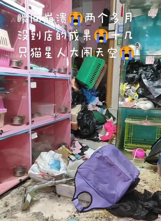 上海另类宠物店-上海另类宠物店有哪些