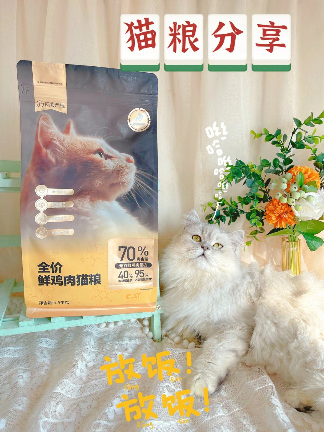 网易严选猫粮-网易严选猫粮是安全粮吗