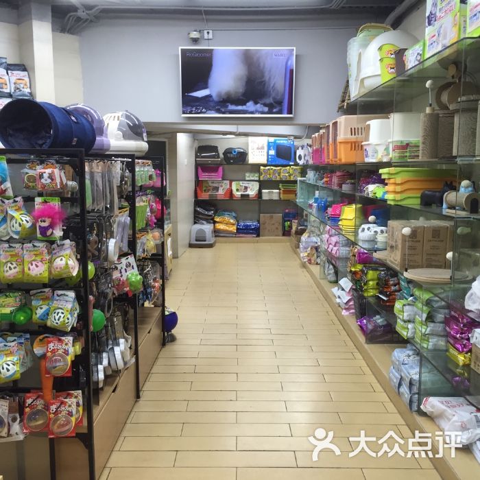 深圳宠物专卖店-深圳宠物专卖店地址