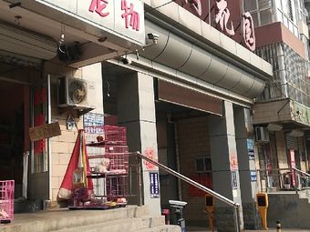 宠物店石家庄-石家庄宠物用品店