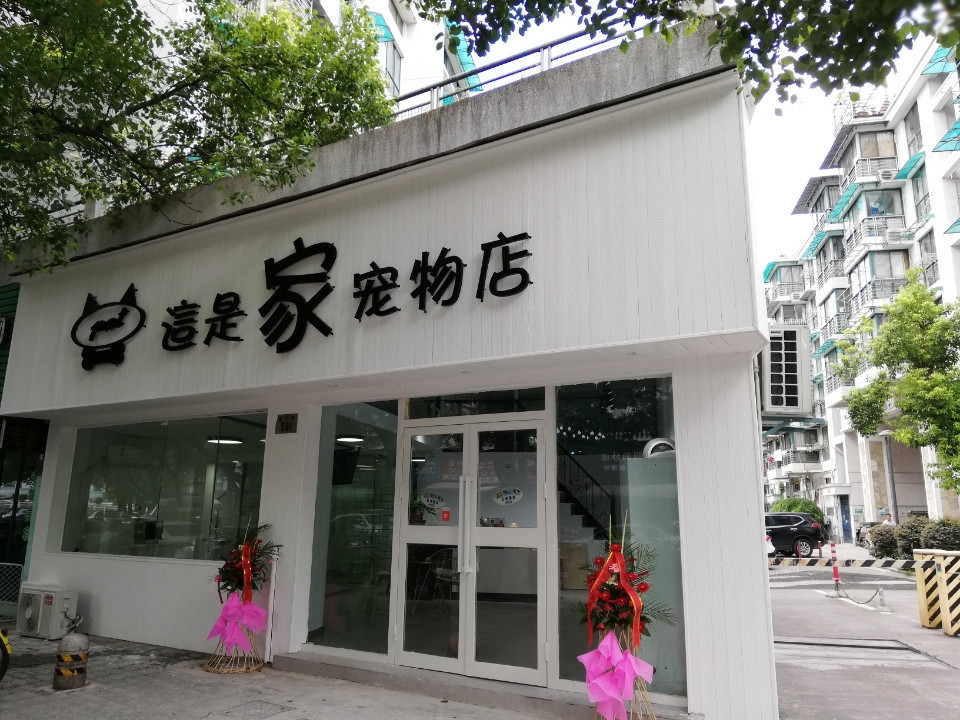 泸州宠物店-泸州宠物店有狗卖的在哪里