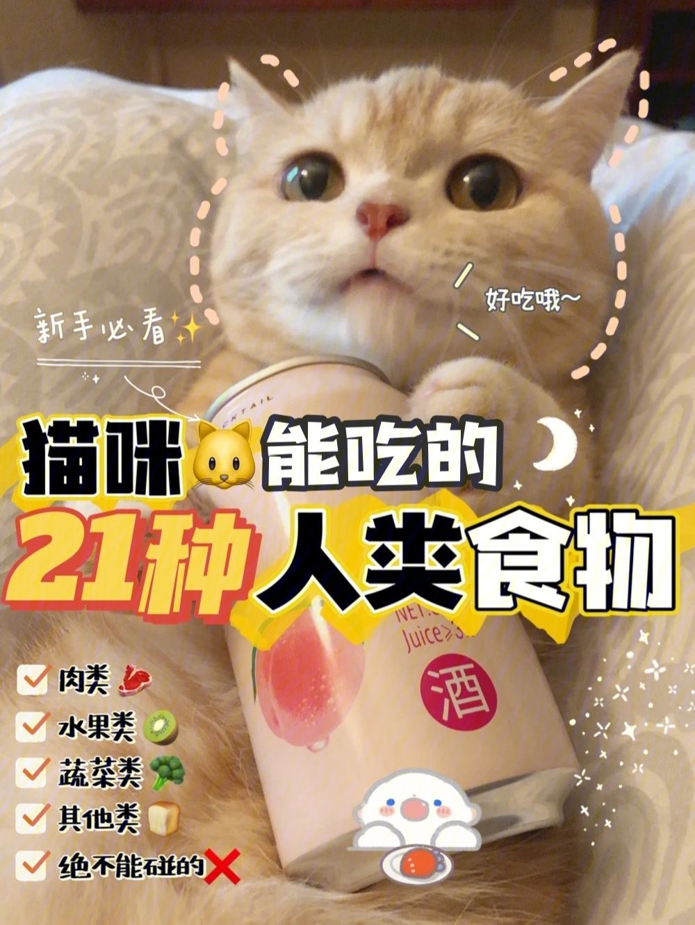 猫能吃萝卜吗-猫能吃萝卜吗青萝卜