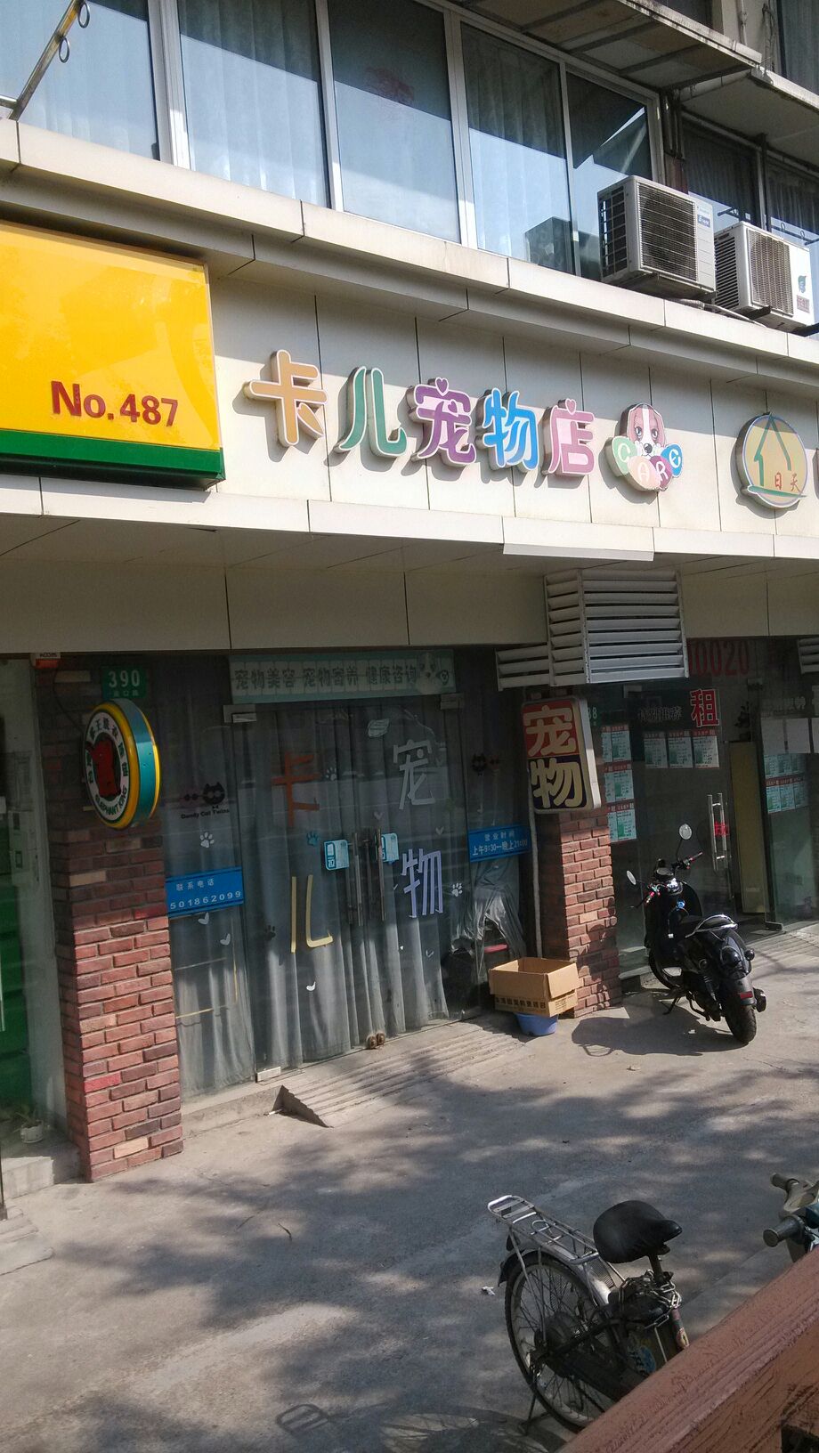 重庆沙坪坝区宠物店-重庆沙坪坝区宠物店在哪里