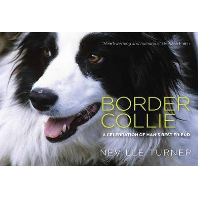 collie-collier