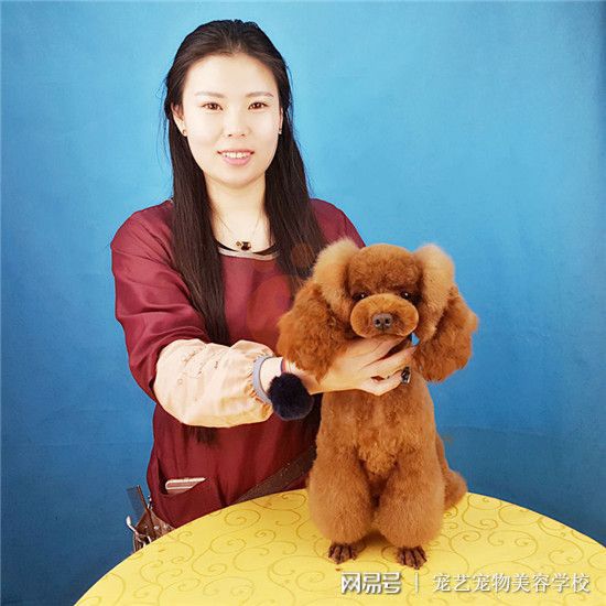 宠物美容师资格证-宠物美容师资格证多少钱