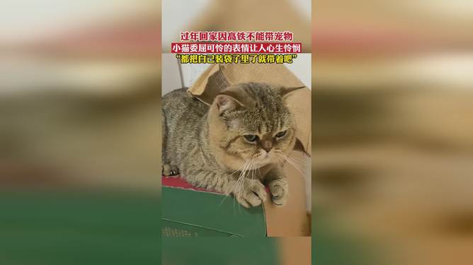 坐高铁能不能带宠物-坐高铁能不能带宠物狗上车