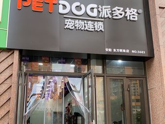 宁波派多格宠物店-派多格宠物店狗狗价格