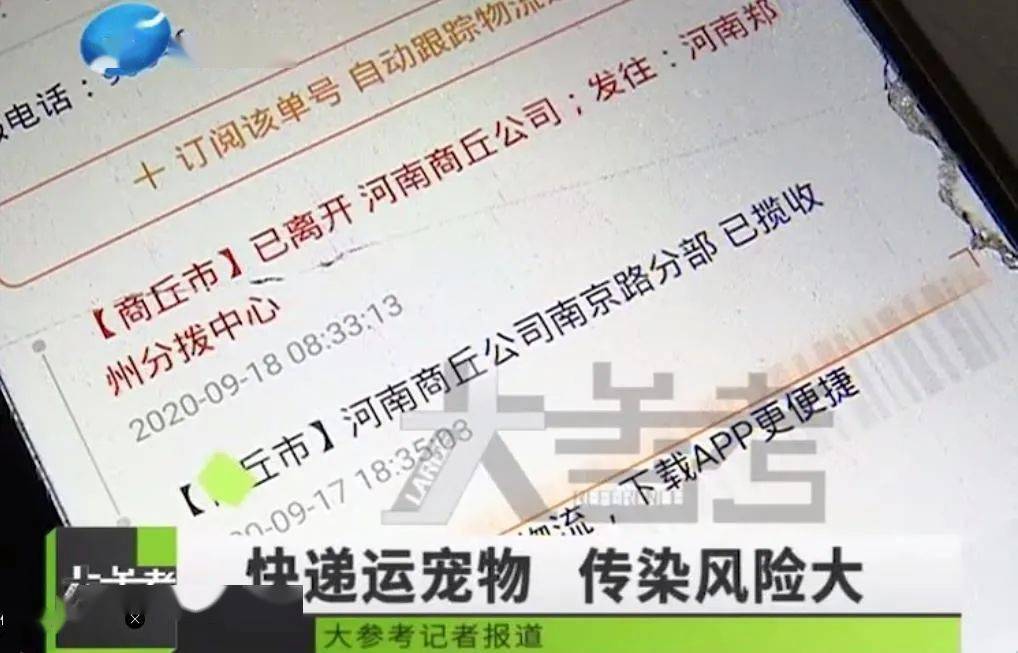 宠物托运死亡比例-宠物托运死亡相关法律