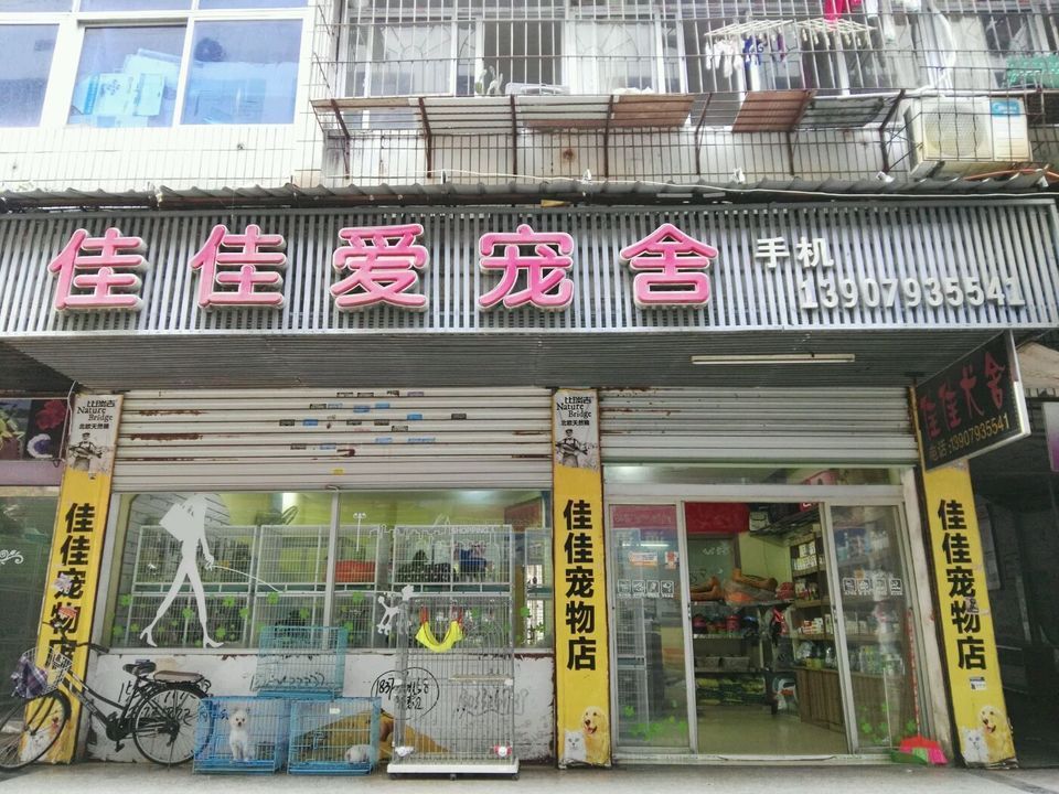 上海宠物店好店-上海宠物店店长税后多少一个月