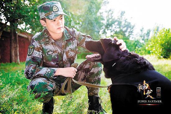 神犬奇兵直播-神犬奇兵播出时间