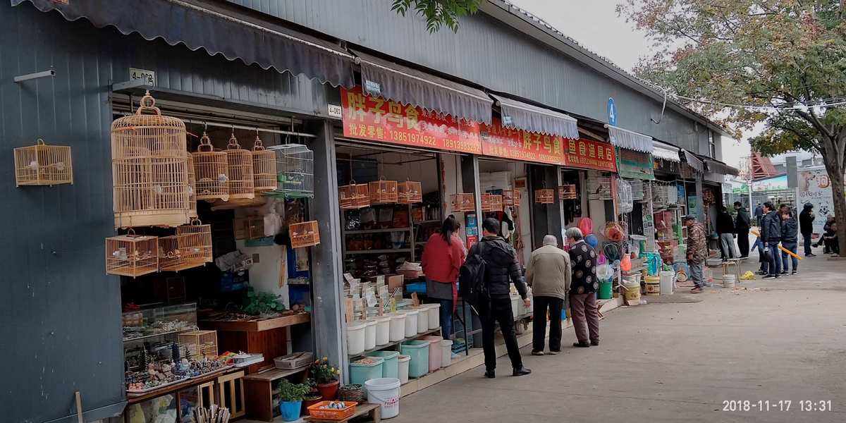 宁波花鸟市场-宁波花鸟市场在哪里几点开门