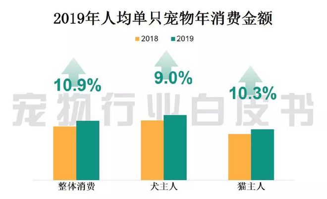 宠物行业企业分类-宠物行业注册公司行业类型