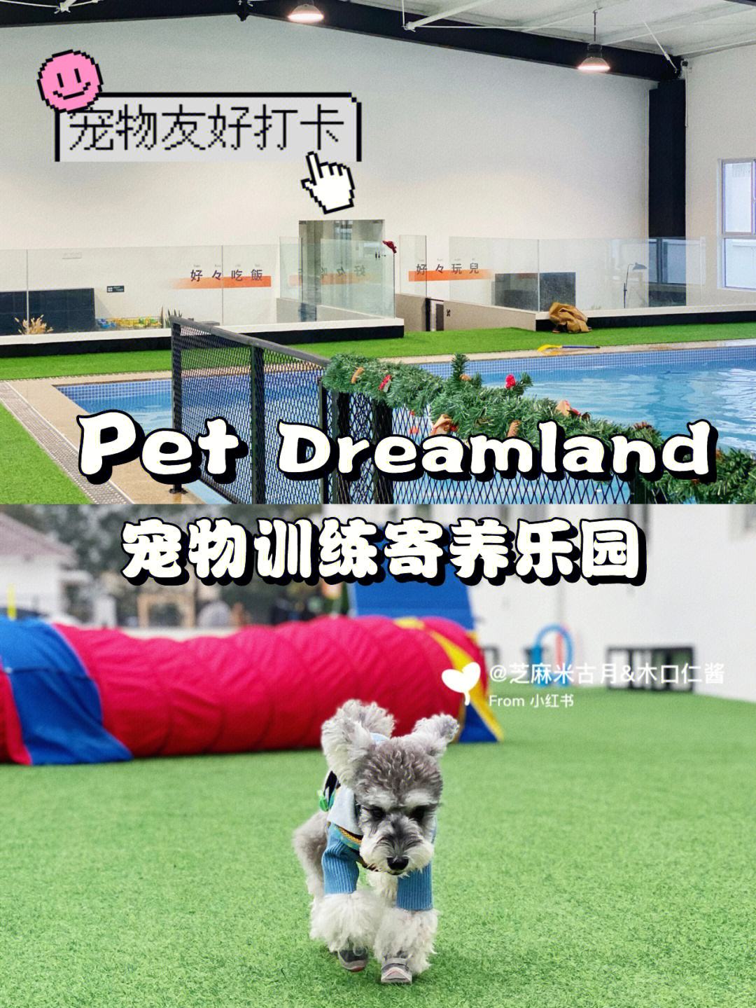 petgo宠物-petmate宠物用品