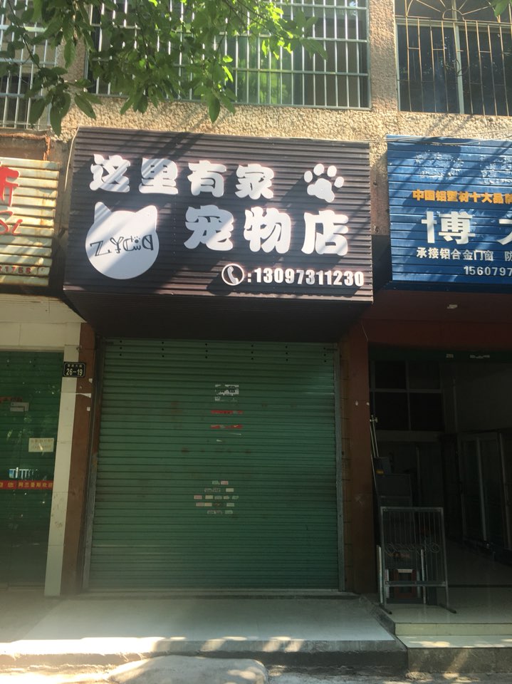 宠物可以卖到宠物店吗-宠物可以卖到宠物店吗知乎