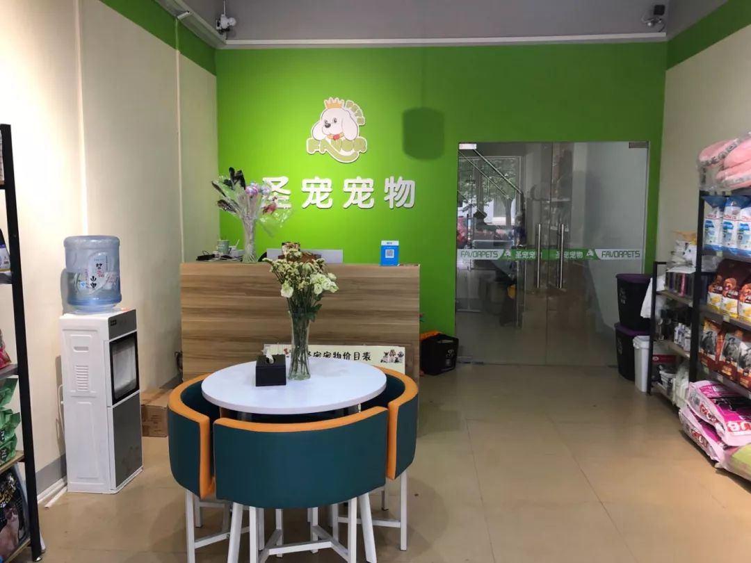 派格宠物店加盟-加盟派多格宠物店