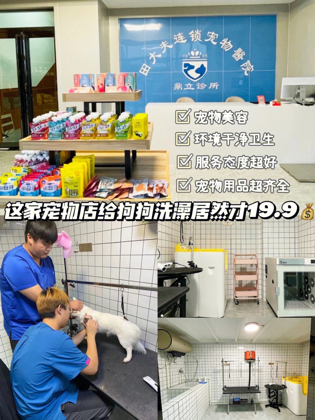 开封宠物店-开封宠物店地址电话