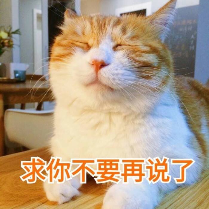 宠物猫表情-猫表情包可爱卖萌