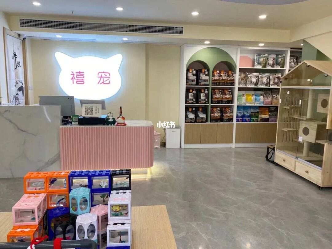 开宠物店相关经验-开宠物店相关经验总结