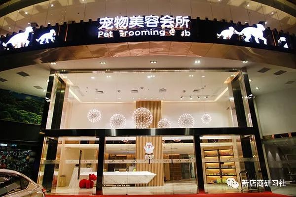 宠物门店图片-宠物门店图片高清