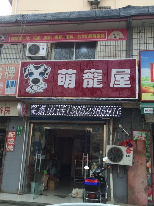 我附近的宠物店-我附近的宠物店微信