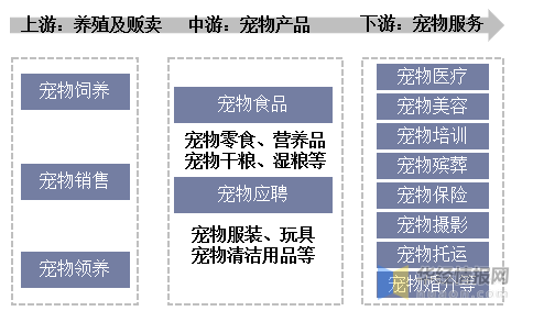 宠物近期政策-2021宠物新规