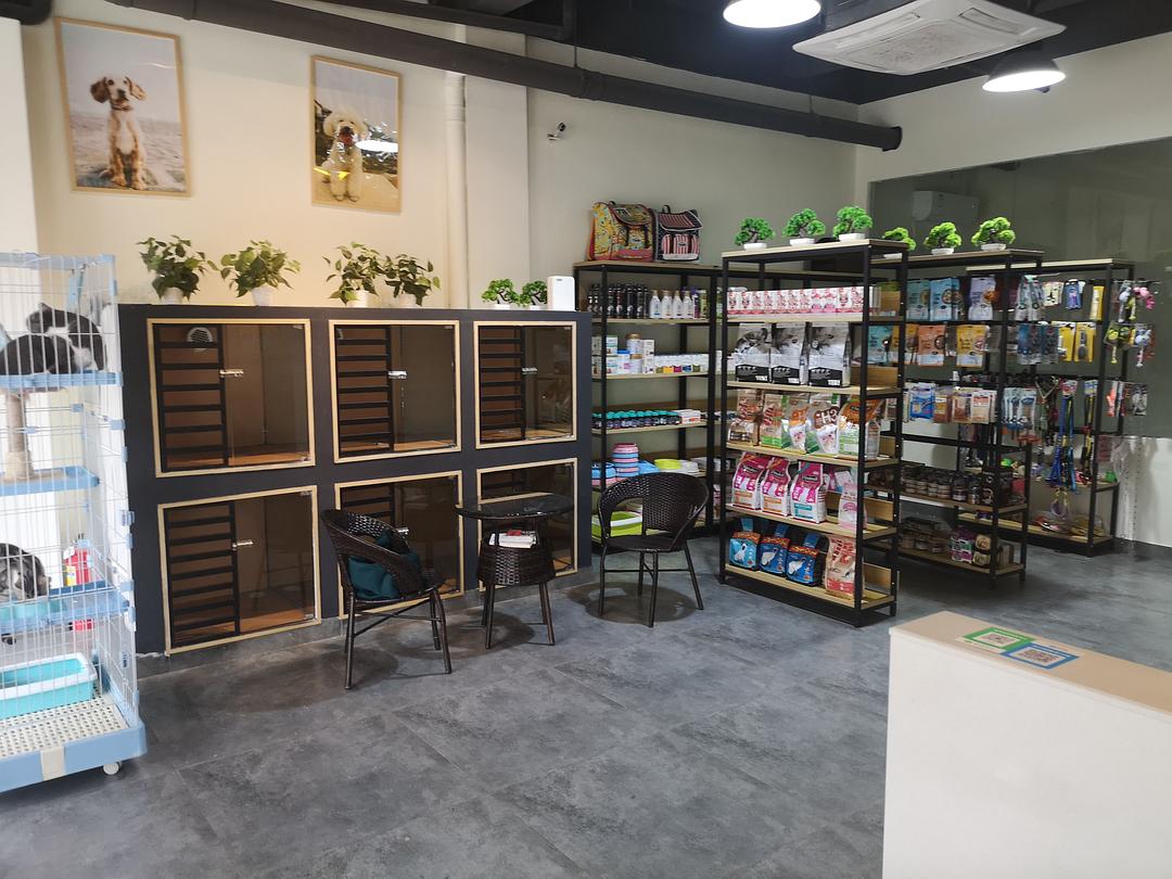 广州黄浦区宠物店-广州宠物店电话号码