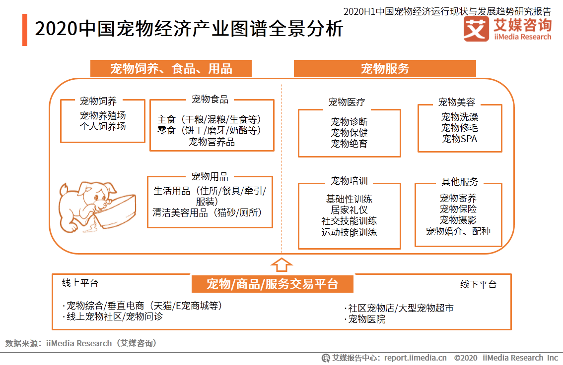 宠物产品分析-宠物用品产品策略