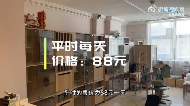 巴中的宠物店-巴中的宠物店在哪里要多少元