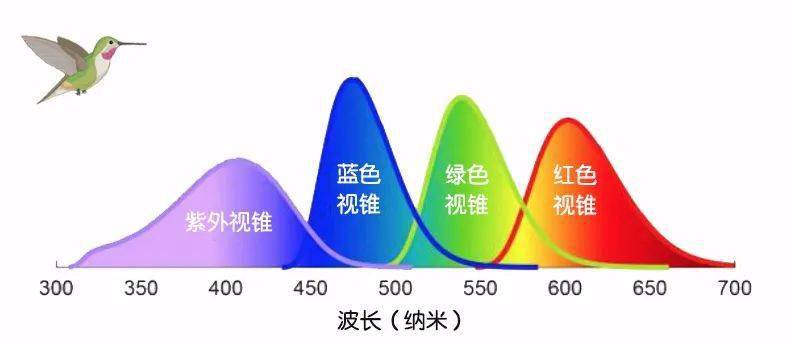 红光波长范围-七种可见光的波长光谱图