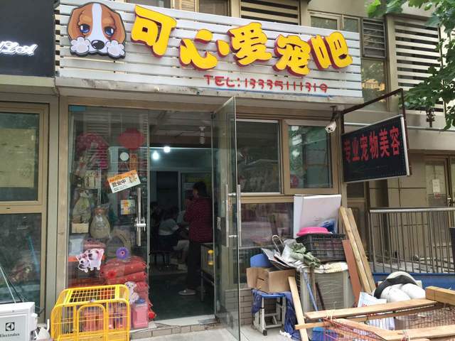 济南哪里有宠物店-济南哪里有宠物店卖