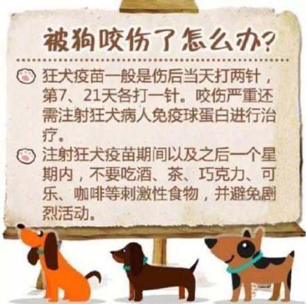 被宠物狗咬伤得狂犬病-被宠物狗咬伤得狂犬病能治好吗