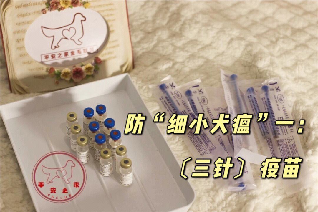 犬瘟和细小的区别-狗狗犬瘟和细小的区别