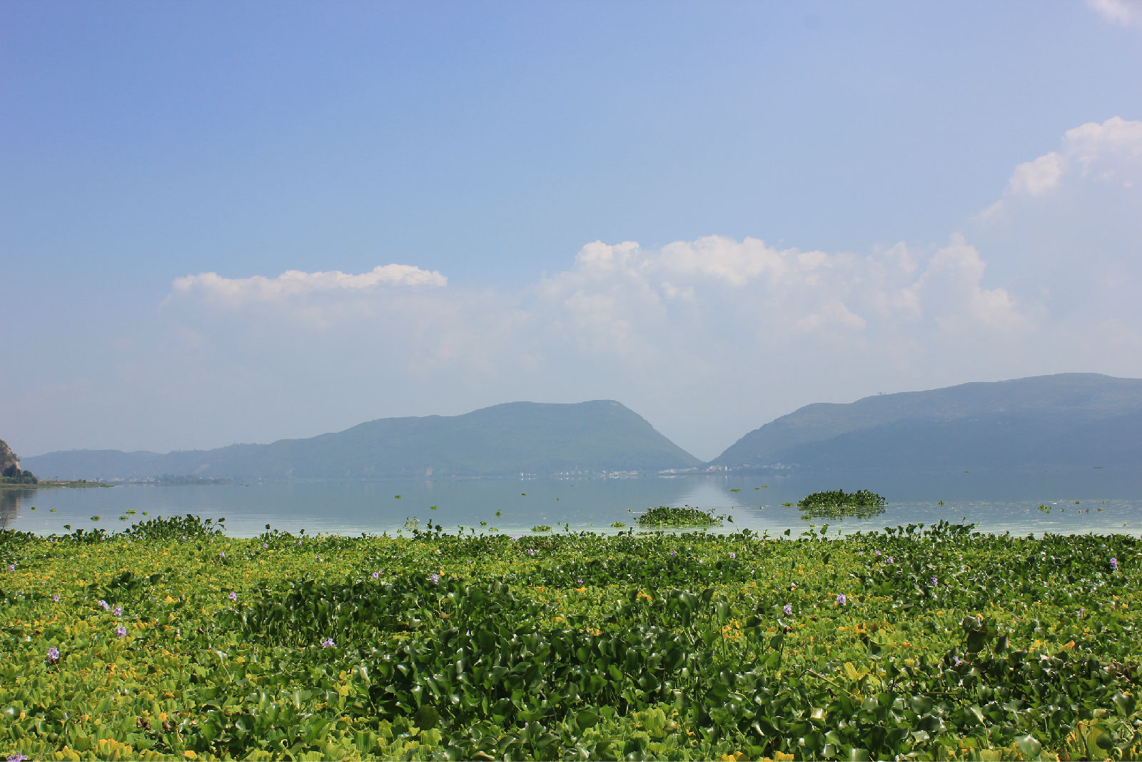 临沂有海吗-山东临沂有海吗