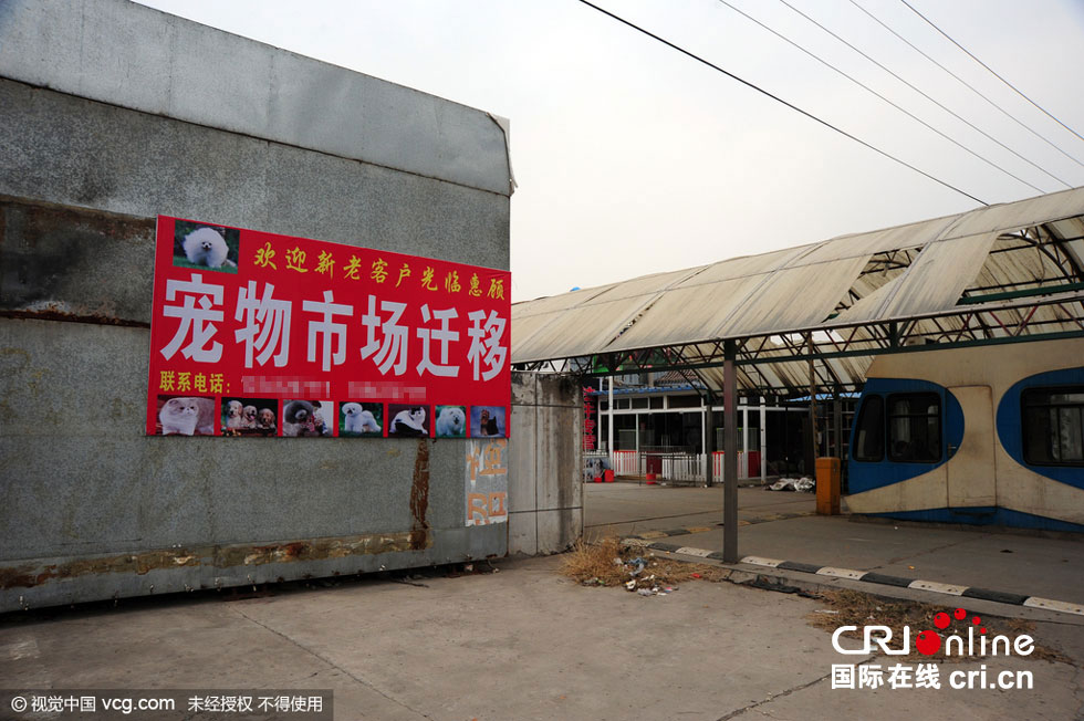 北京的宠物市场在哪里-北京最有名的宠物市场在哪