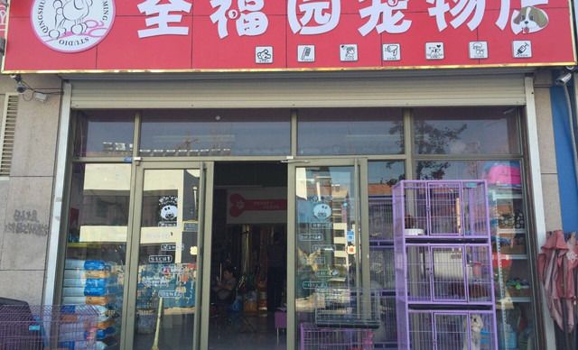 宠物美容店名称-宠物美容店名称大全