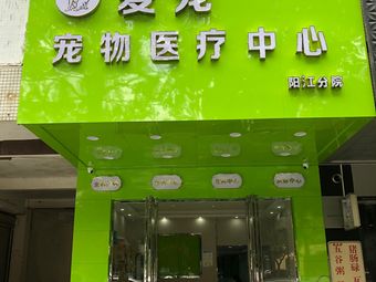 阳江宠物店-阳江宠物店买狗的在哪