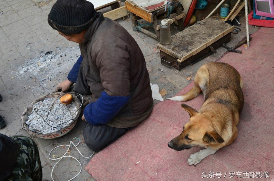 狗不嫌家穷-狗不嫌家穷儿不嫌母丑