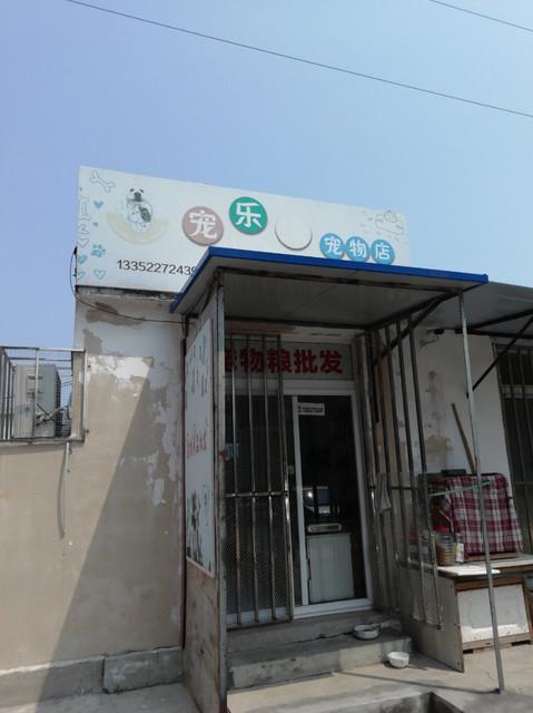 大连最大的宠物店-大连最大的宠物市场在哪