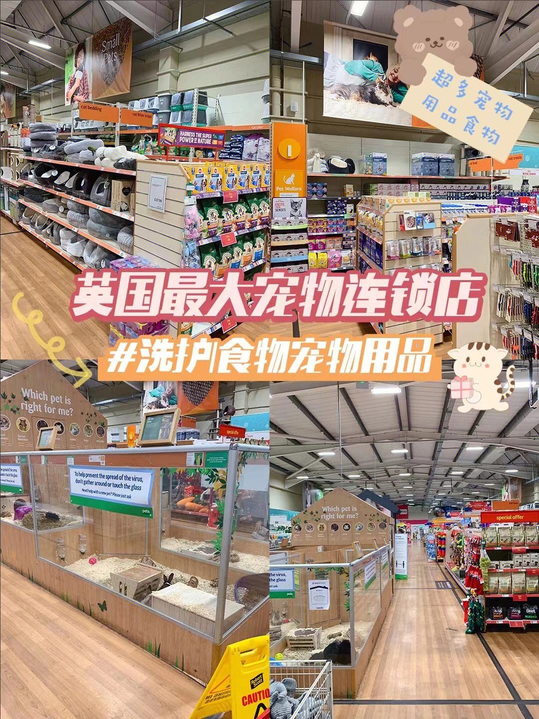 淮安市的宠物店-淮安宠物市场营业时间