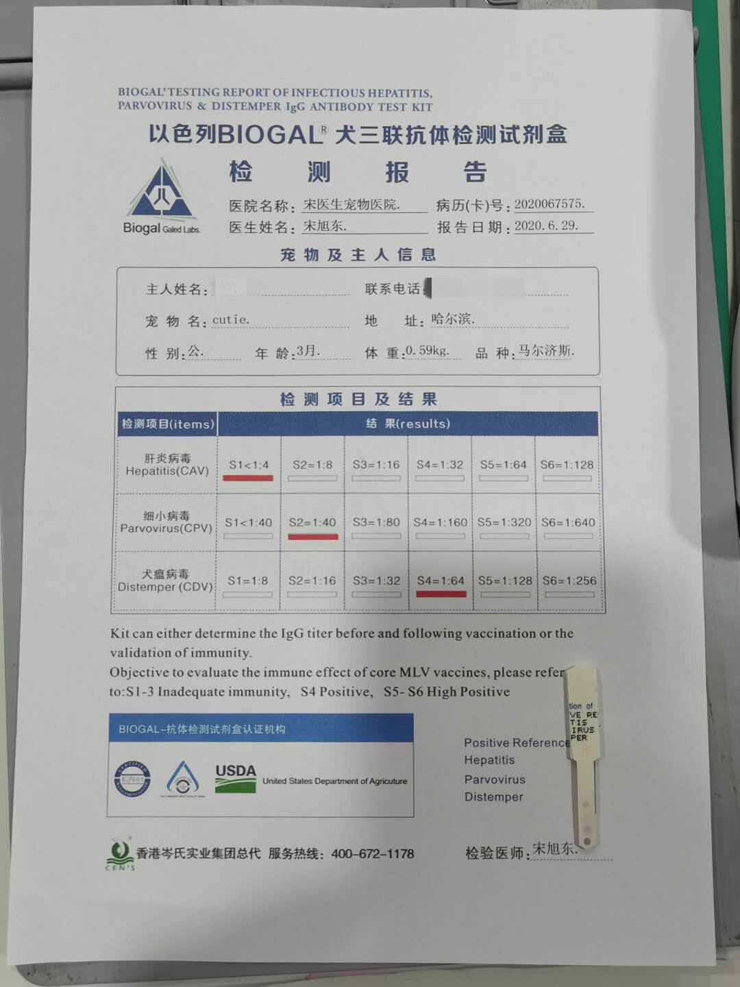 宠物抗体检测多少钱-宠物抗体检测多少钱一个