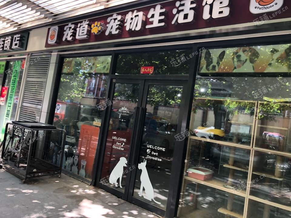 北京宠物店推荐-北京宠物店推荐狗狗