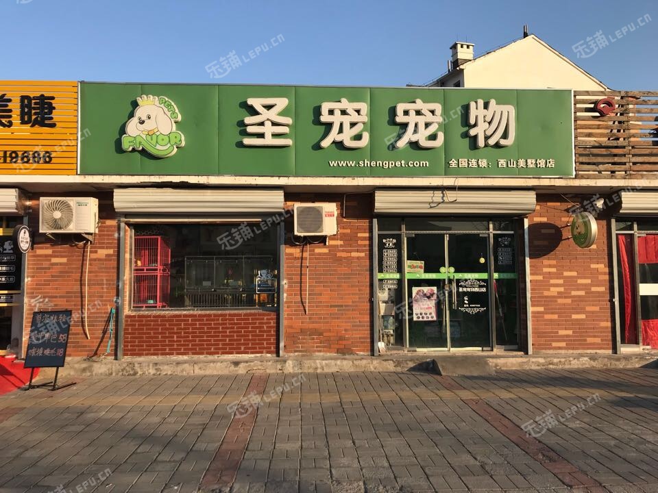 北京宠物店推荐-北京宠物店推荐狗狗