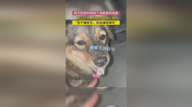 狗不嫌家贫-狗不嫌家贫猫不嫌什么