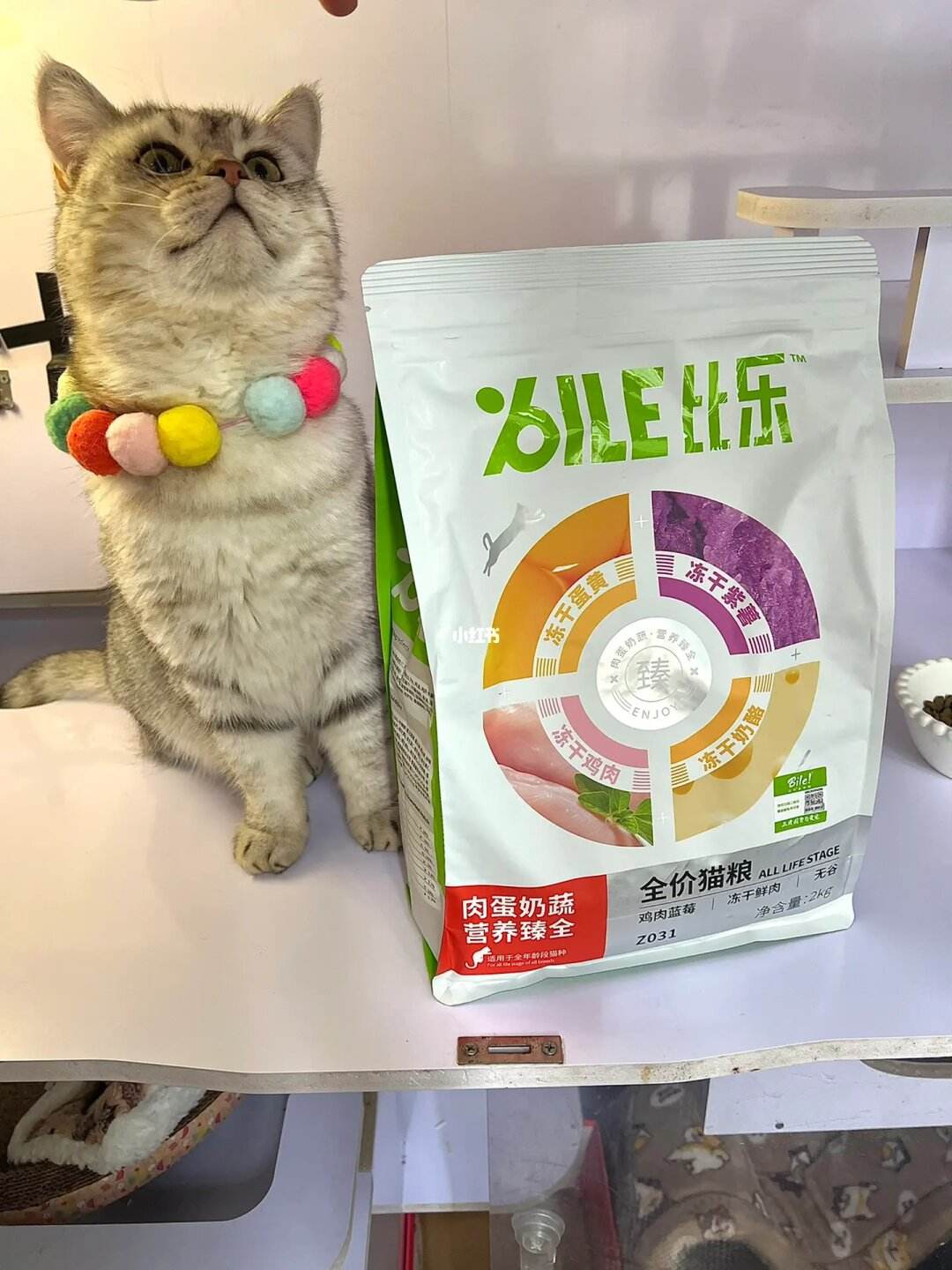 比乐猫粮怎么样-央视评测十大放心猫粮品牌