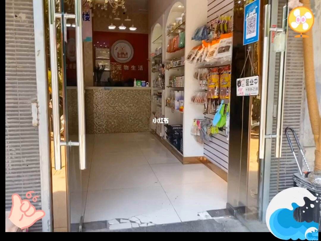 宠物店一天流水多少钱-宠物店一天流水多少钱啊